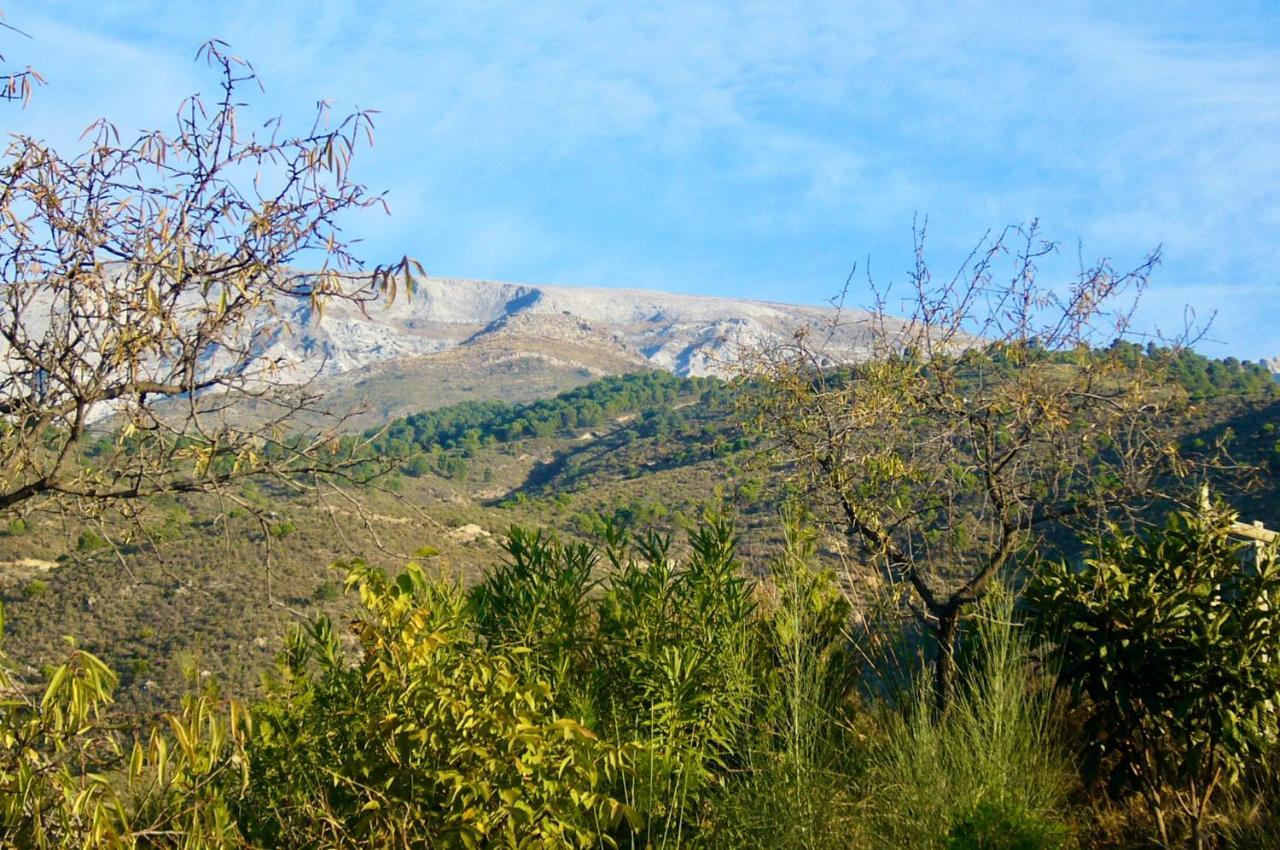 Casa Jardin Natural Sedella מראה חיצוני תמונה