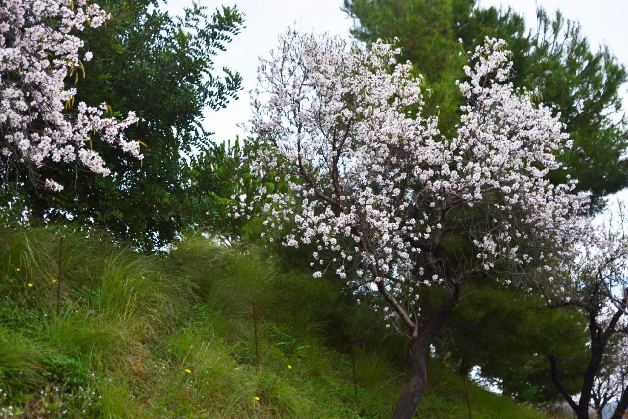 Casa Jardin Natural Sedella מראה חיצוני תמונה